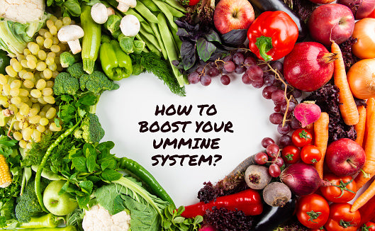 A Healthy Immune System Equals A Healthy Body