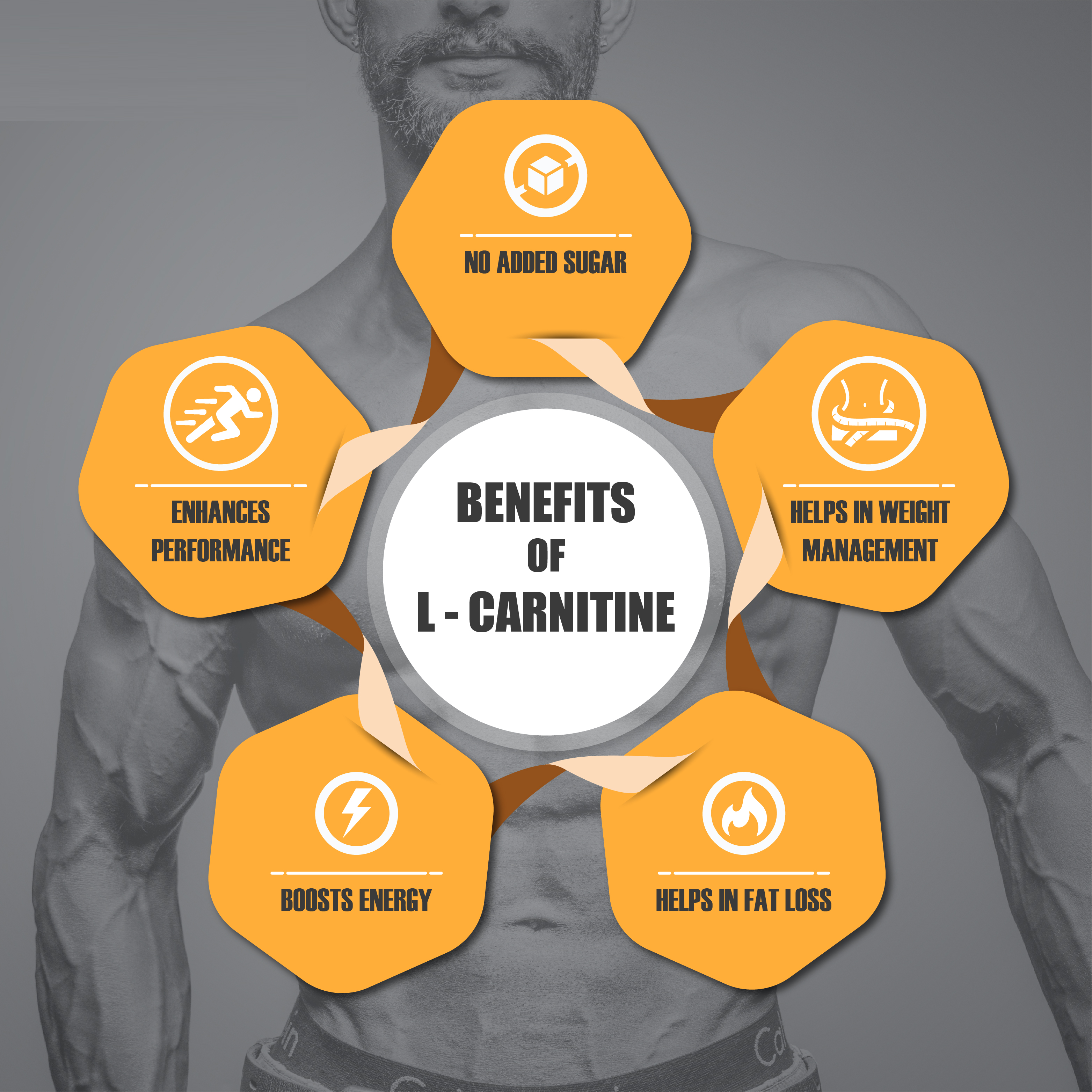 How can L-Carnitine help in your Journey of Wellness? Osoaa How can L-Carnitine help in your Journey of Wellness? Osoaa