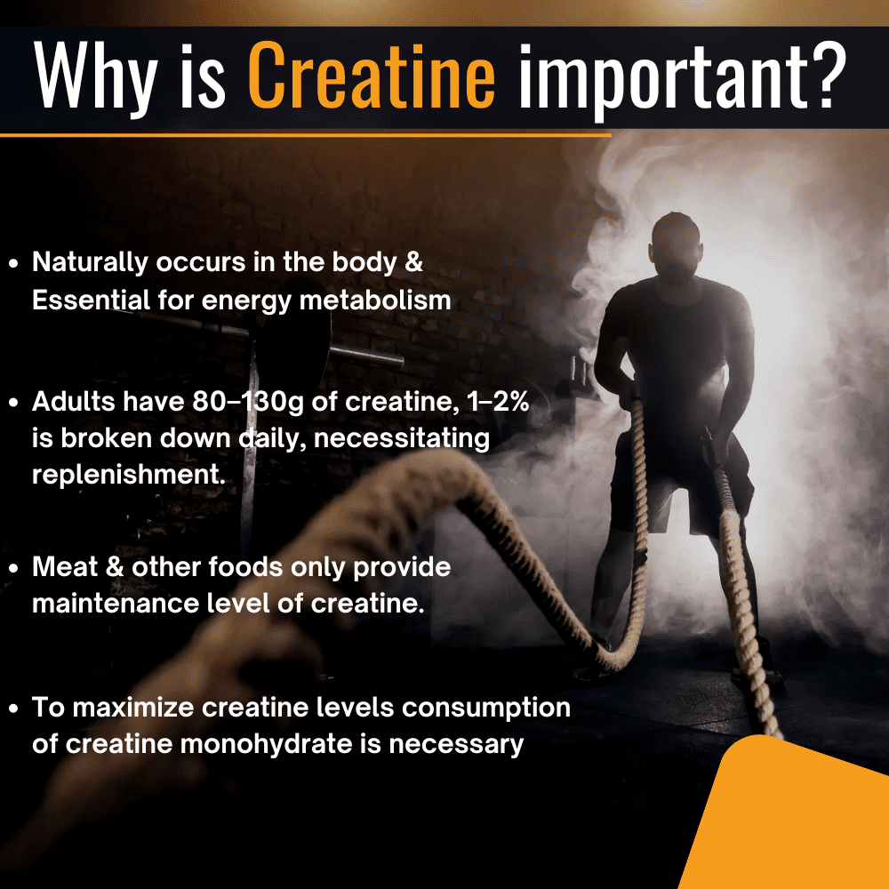 Slide explaining the importance of creatine as a natural compound found in muscles, crucial for energy production during high-intensity workouts. It supports muscle growth, enhances strength, improves endurance, aids in faster recovery, and helps maintain optimal performance in sports and weight training.