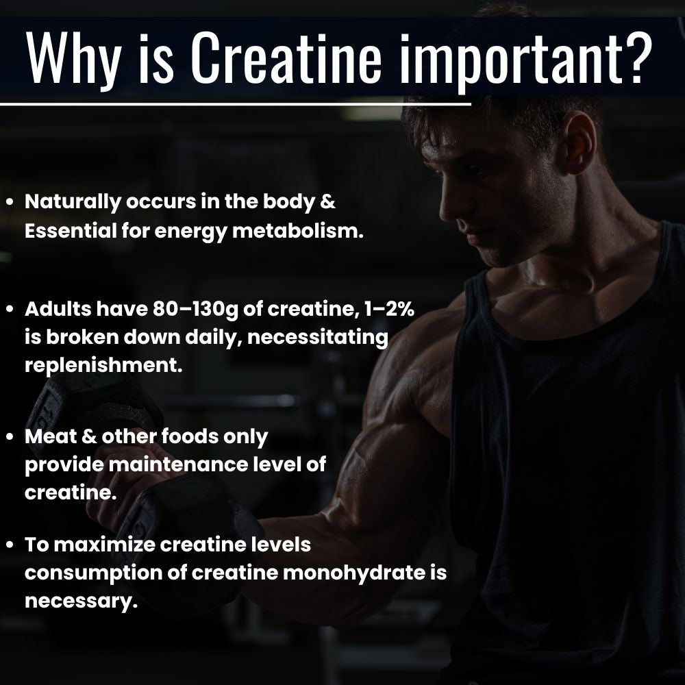 Slide explaining the importance of creatine as a natural compound found in muscles, crucial for energy production during high-intensity workouts. It supports muscle growth, enhances strength, improves endurance, aids in faster recovery, and helps maintain optimal performance in sports and weight training