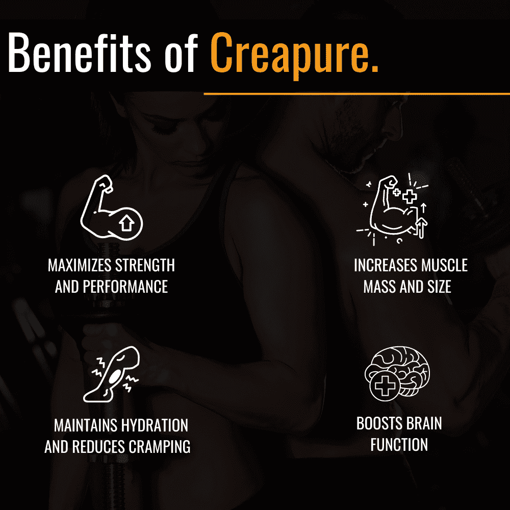 Slide highlighting the benefits of Creapure Creatine, including improved muscle strength, enhanced workout performance, faster muscle recovery, increased energy levels, and support for overall athletic performance and endurance.