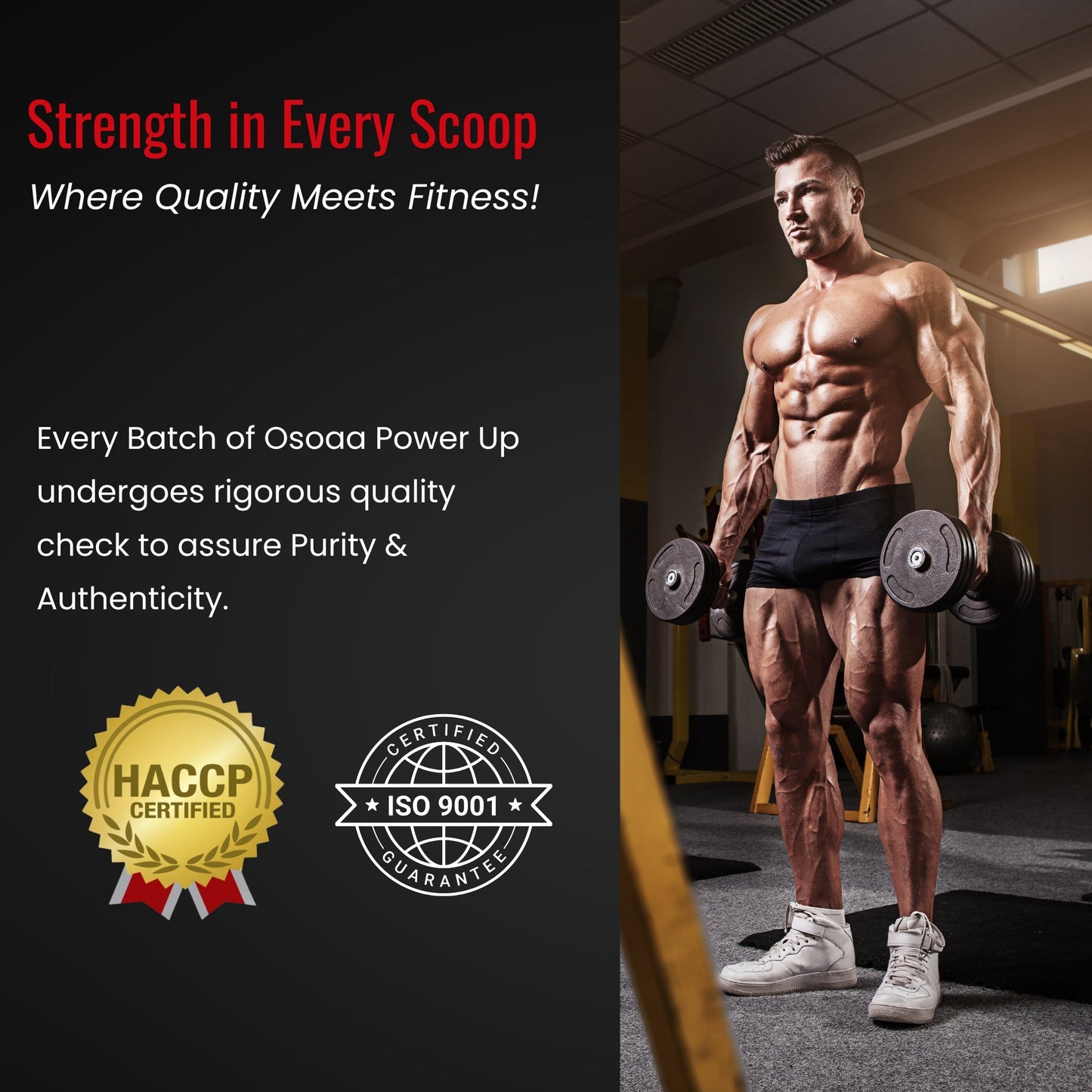 Slide detailing PowerUp's safety standards including GMP-certified manufacturing, third-party lab testing, and clean-label assurance. Safe for daily use within recommended dosage, with no banned substances or harmful additives