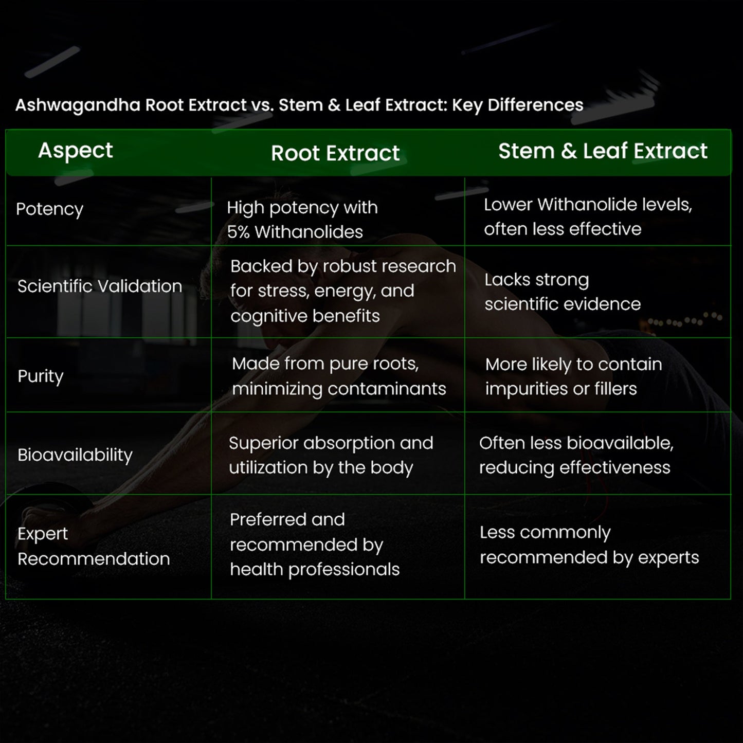 Comparison slide highlighting the difference between root and stem extracts of Ashwagandha, showcasing root extract as the more potent form with higher concentrations of active compounds like withanolides, known for stress reduction and immune support, while stem extract contains lower levels of these compounds and is often less effective.
