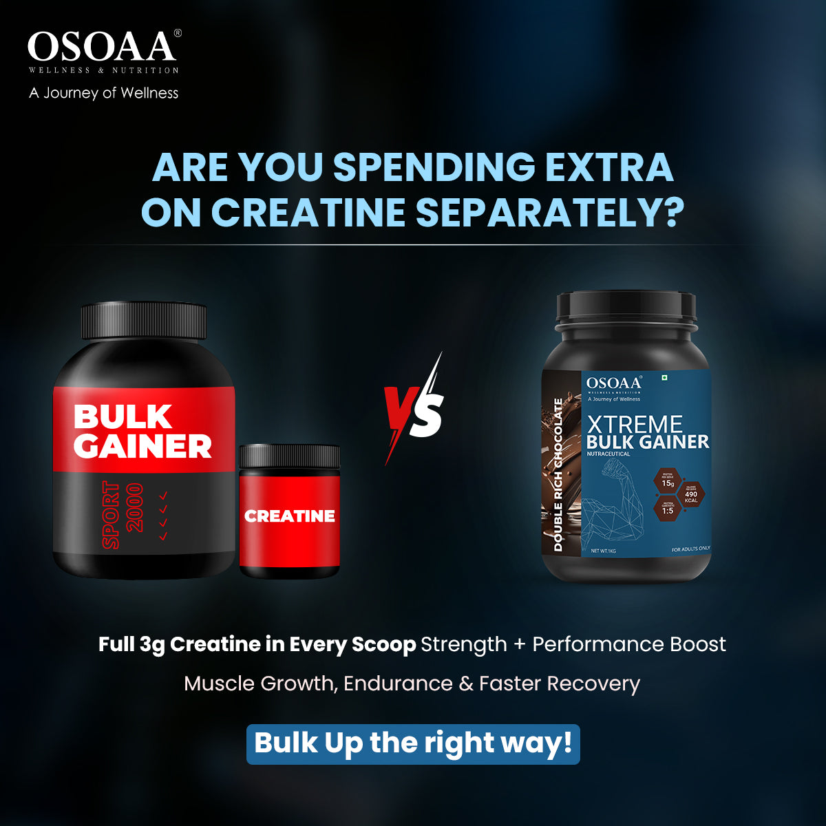 Slide explaining the inclusion of Creatine in bulk Mass Gainer, highlighting its role in boosting strength, enhancing workout performance, and supporting muscle growth. The added creatine helps increase energy during intense training sessions and promotes faster muscle recovery, making it an ideal supplement for building bulk muscle mass