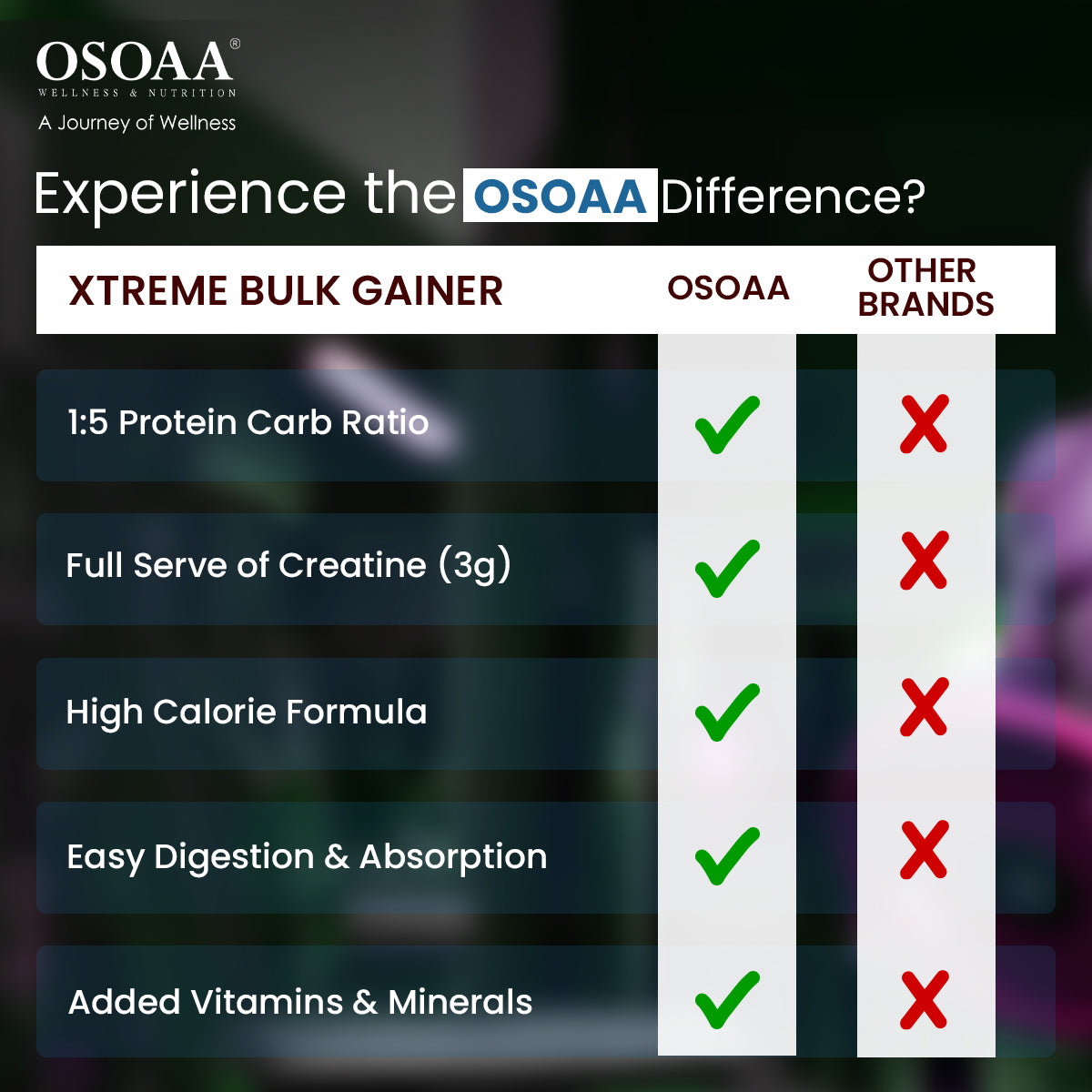Comparison slide highlighting the differences between bulk Mass Gainer and other mass gainer supplements, emphasizing bulk Mass Gainer’s higher protein-to-carbohydrate ratio, low sugar content, clean ingredients, and focus on bulk muscle growth, while other bulk gainers may contain excess sugar, fillers, and unhealthy additives.