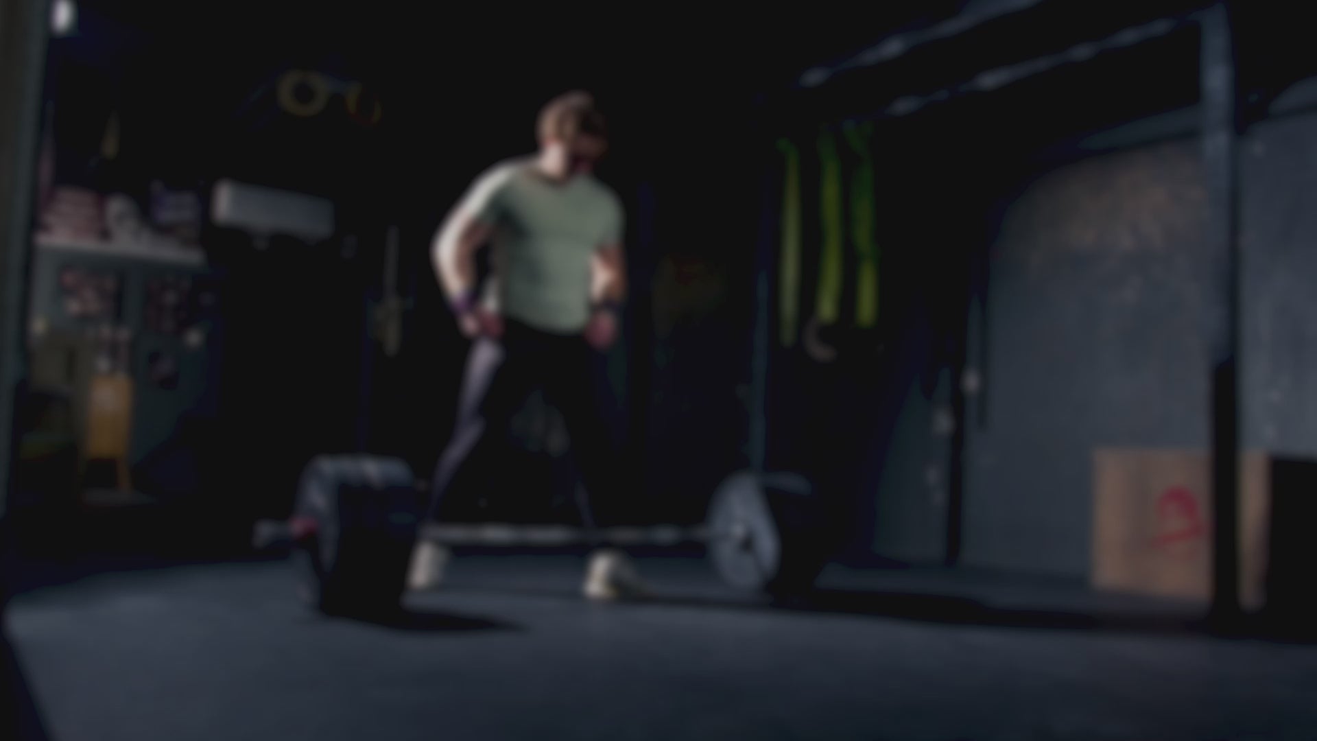 affordable creatine whey protein powder for beginners