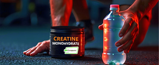 Why Hydration is Crucial When Taking Creatine