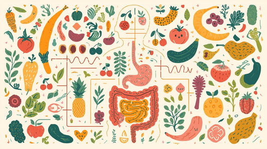 Is Your Modern Diet Actually Worse for Your Gut Health than a Paleolithic Food Scarcity Cycle?