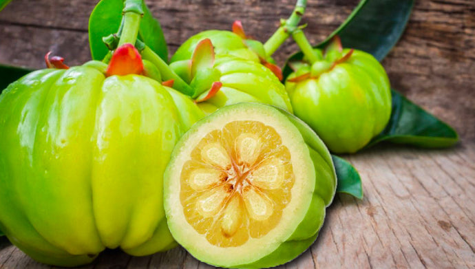 Benefits of Garcinia Cambogia- Is it useful for weight loss and as appetite suppressant?
