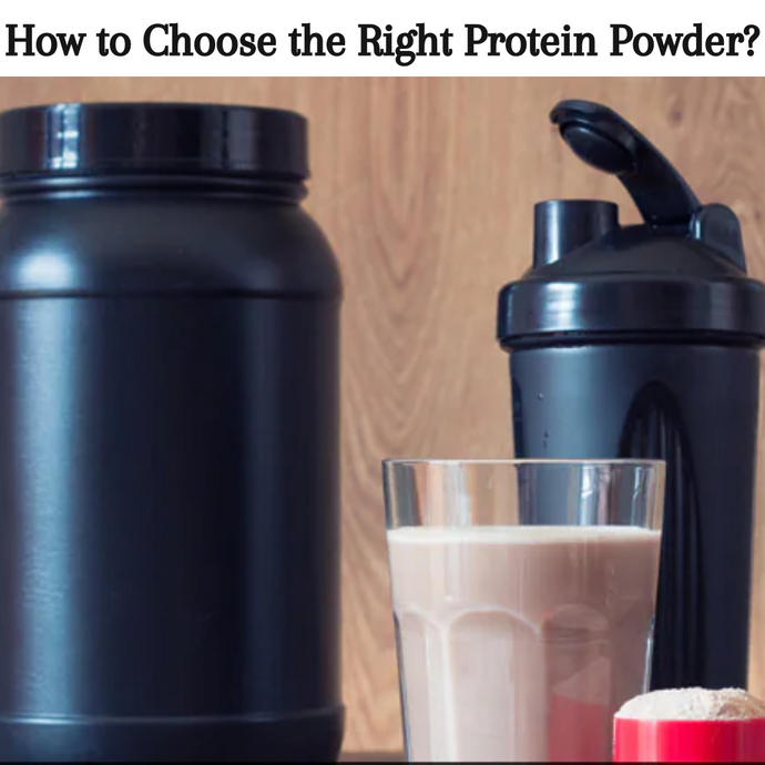 How to Choose the Right Protein Powder for Yourself?