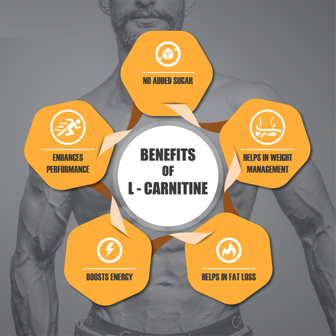 How can L-Carnitine help in your Journey of Wellness? Osoaa How can L-Carnitine help in your Journey of Wellness? Osoaa
