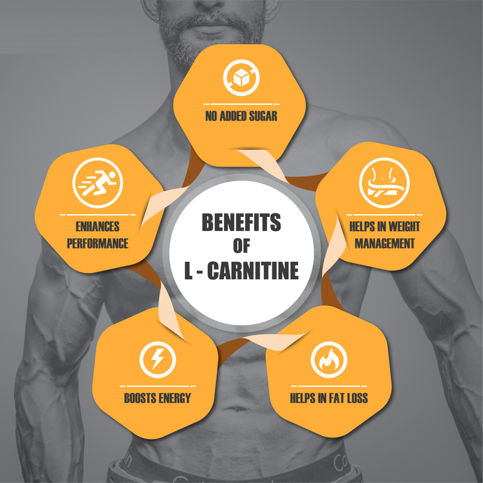 How can L-Carnitine help in your Journey of Wellness?