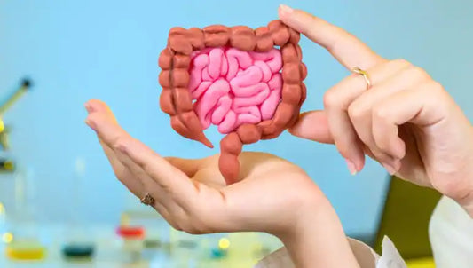 Boost Your Gut Health for a Better Life: The Importance of a Healthy Digestive System