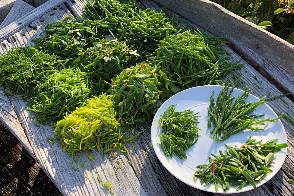 Sea Vegetables? What are those and why?