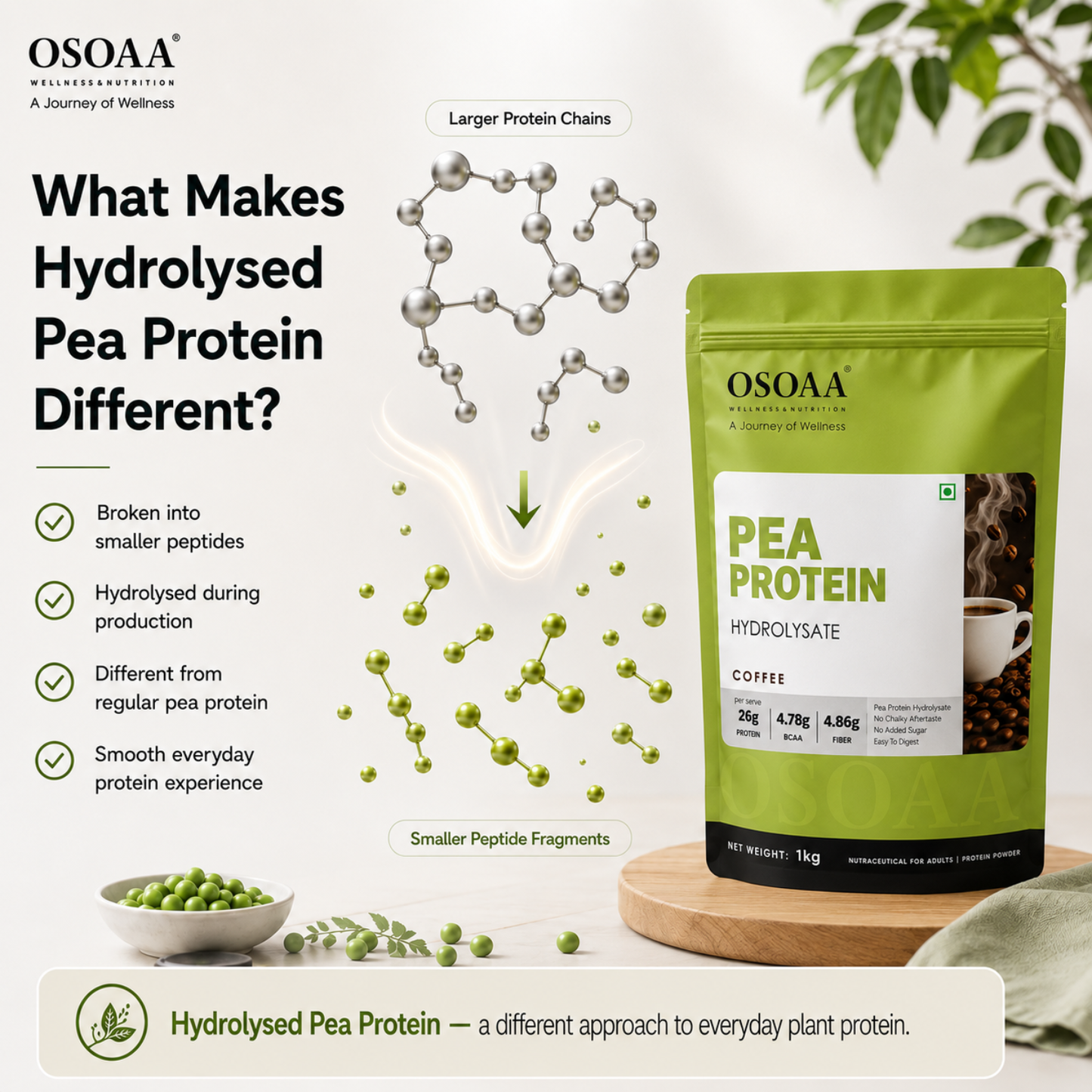 OSOAA Pea Protein Hydrolysate Coffee | 26g Protein | No Added Sugar | 1kg