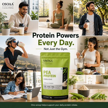 OSOAA Pea Protein Hydrolysate Coffee | 26g Protein | No Added Sugar | 1kg
