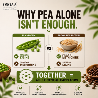 OSOAA Plant Protein Powder | High Protein | Vegan | Easy to Digest | No Added Sugar | 1kg