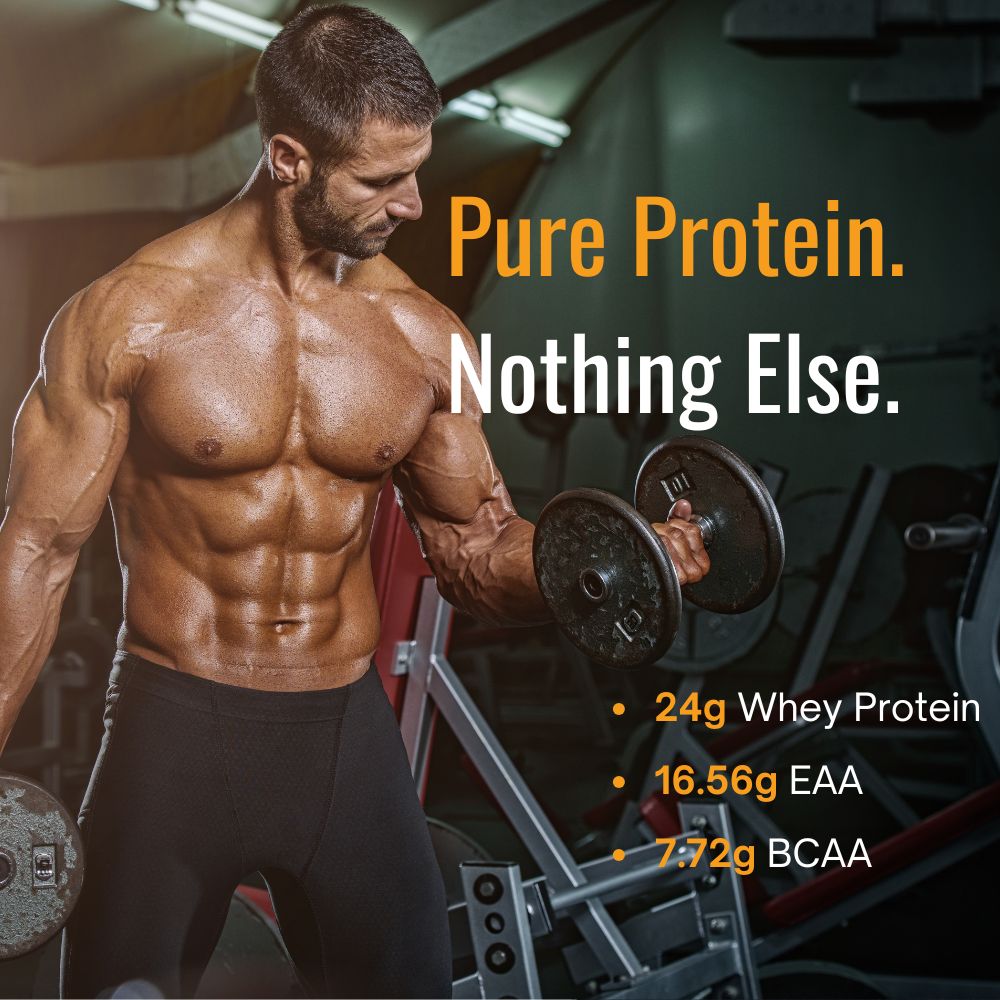 Slide outlining the features of Everyday Protein, including 100% whey protein isolate, no artificial additives, lactose-free, and quick absorption. The product is designed for individuals seeking an effective, everyday protein supplement for muscle maintenance and overall health.