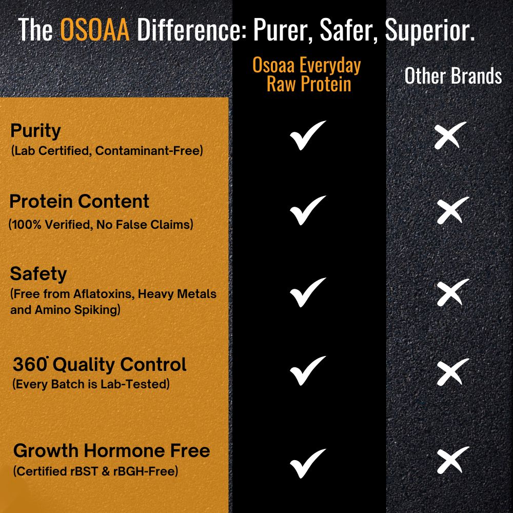 Slide comparing Everyday Protein to other protein supplements. Key differences include higher protein bioavailability, cleaner ingredients with fewer additives, and a focus on digestion and absorption. Everyday Protein is highlighted for its suitability for daily consumption, ensuring consistent muscle recovery and growth without the heaviness of other protein products.
