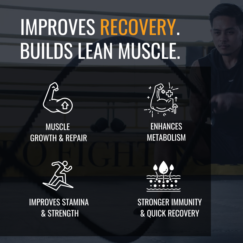Slide showcasing the benefits of cncentrate protein, including high protein purity, fast absorption, supports muscle recovery, low in carbs and fats, lactose-free, and ideal for lean muscle building and post-workout nutrition
